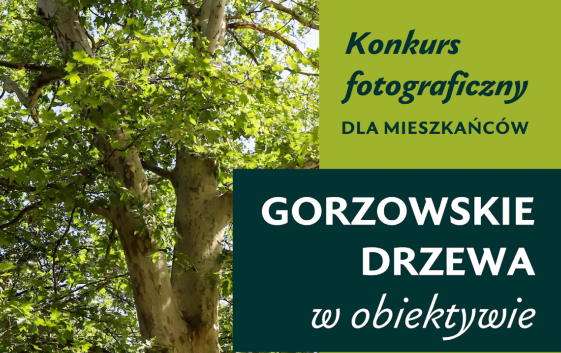 Konkurs fotograficzny dla mieszkańców Gorzowa