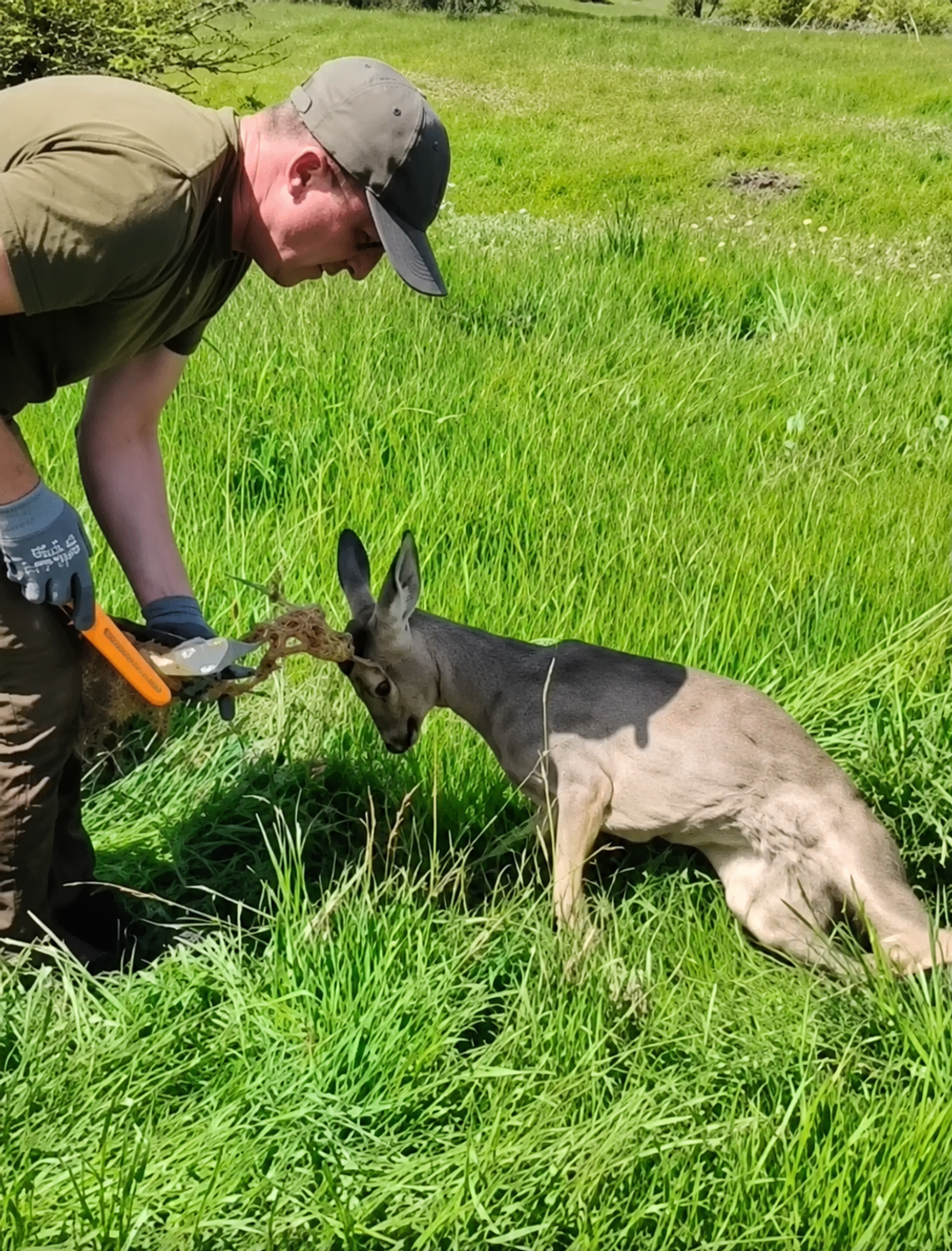 Leśnicy znów apelują po akcji ratunkowej. Problem wraca jak bumerang Leśnicy znów apelują po akcji ratunkowej. Problem wraca jak bumerang