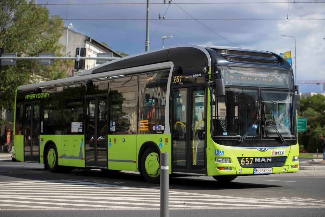 Linia autobusowa nr 201 nad jezioro Nierzym