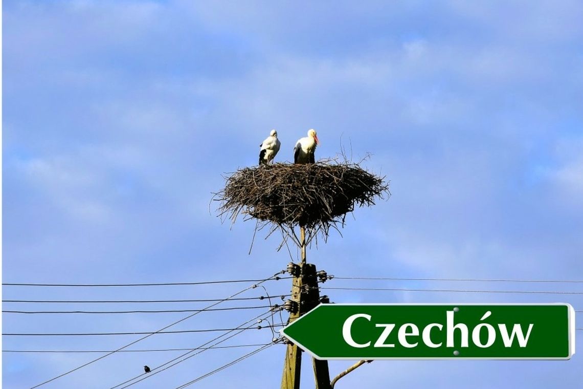 Mamy najlepszy dowód na to, że wiosna przyszła do nas na dobre!