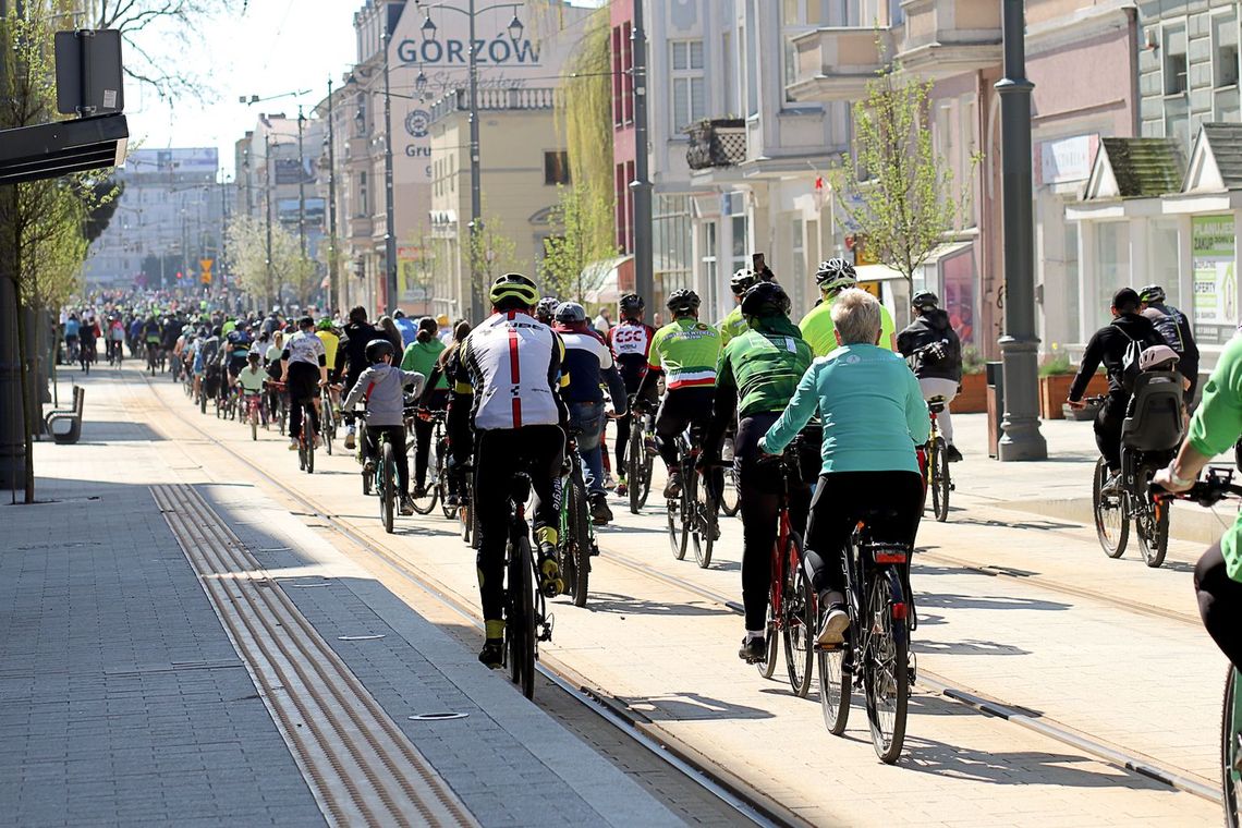 Mandaty dla rowerzystów. Rozjeżdżanie przepisów drogowych rowerem kosztuje