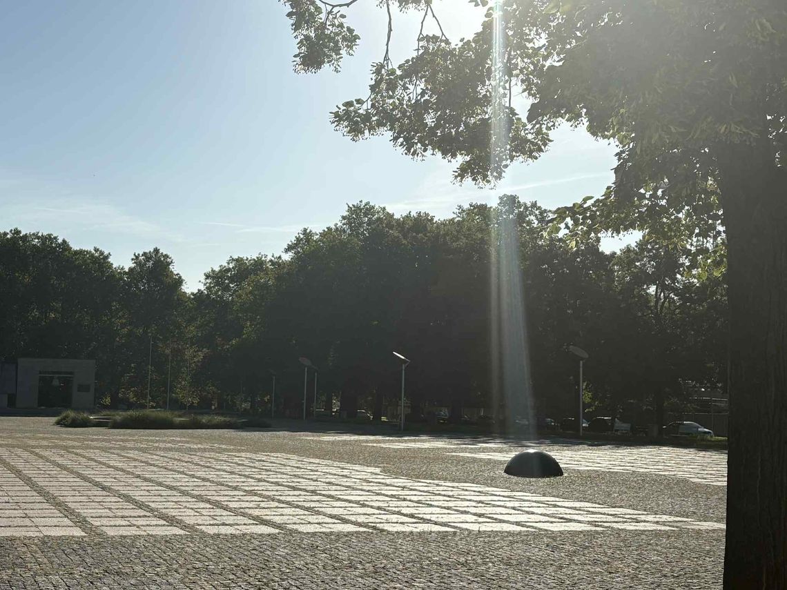 Marsz przeciw imigracji w Gorzowie. Uczestnicy przejdą przez centrum miasta