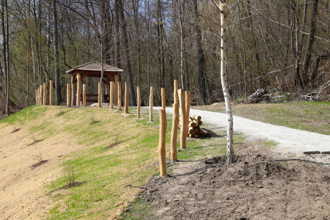 Miasto inwestuje w park. Powstaje przestrzeń do wypoczynku i rekreacji