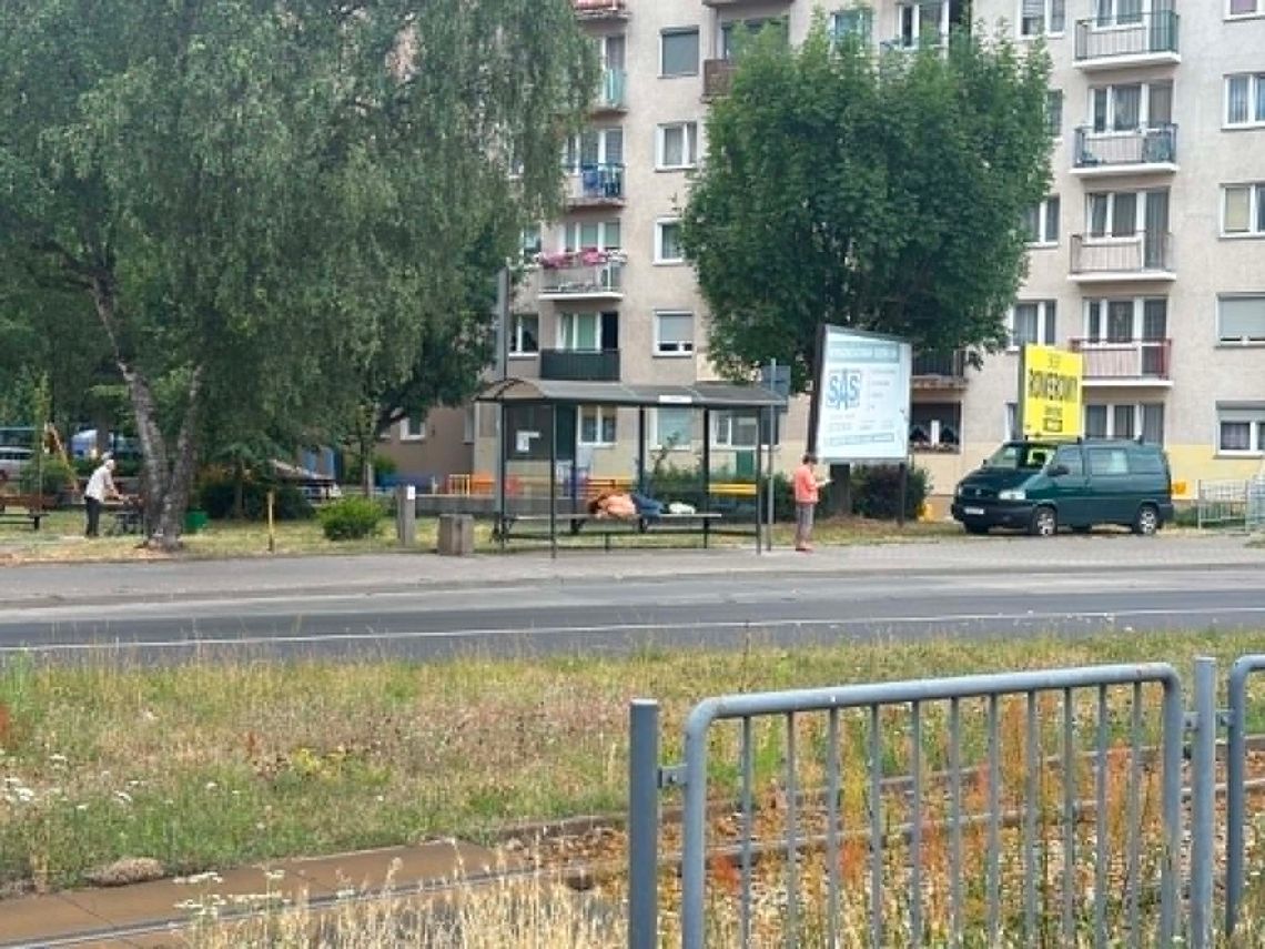 Mieszkańcy mówią o narastającym problemie. „Gorzów staje się miastem kloszardów?” Mieszkańcy mówią o narastającym problemie. „Gorzów staje się miastem kloszardów?”