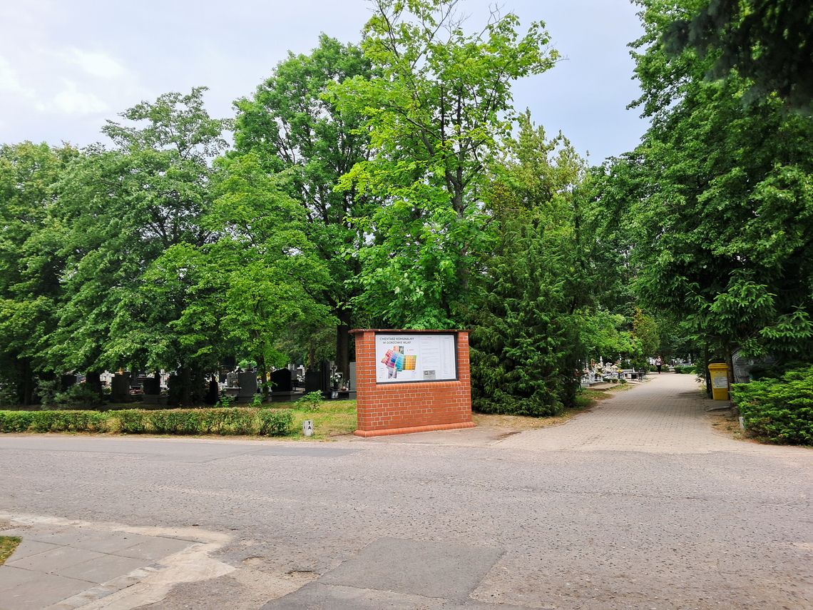 Mieszkańcy mówią o tym od dawna. Problem na cmentarzu w Gorzowie nie znika Mieszkańcy mówią o tym od dawna. Problem na cmentarzu w Gorzowie nie znika