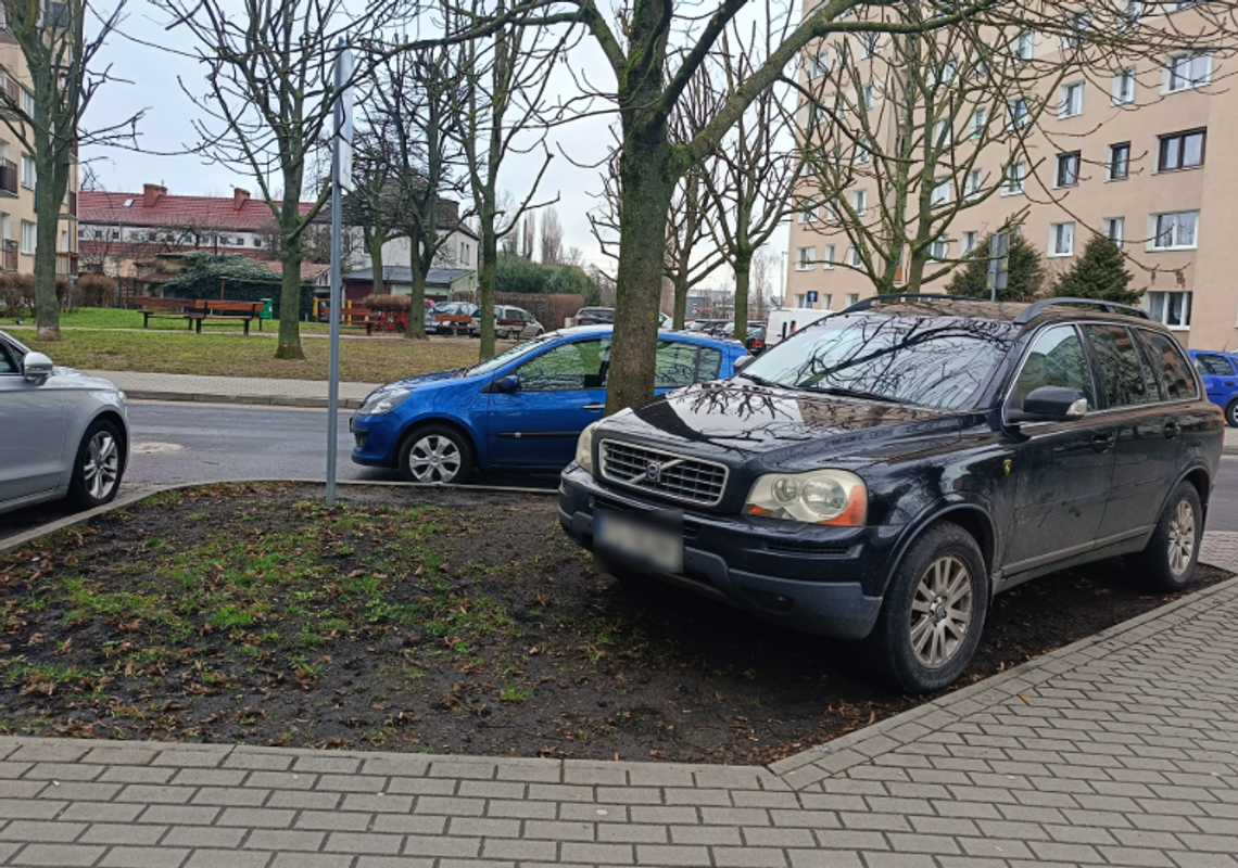 Mieszkańcy oburzeni! Samochody rozjeżdżają trawniki