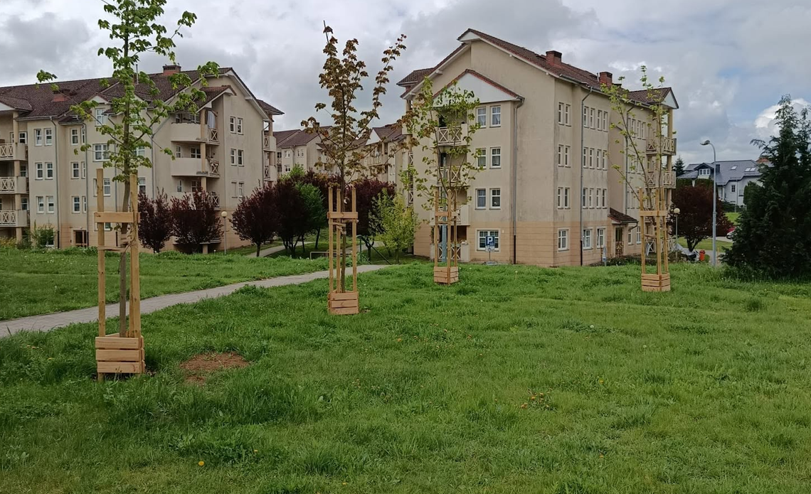 Młodzi ludzie dostaną wsparcie na starcie w dorosłość. Nowe rozwiązanie w Gorzowie