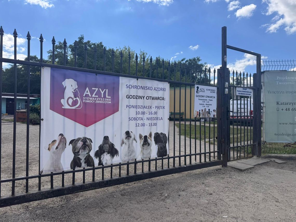 Modernizacja schroniska „Azorki” w Gorzowie. Rusza ważna inwestycja