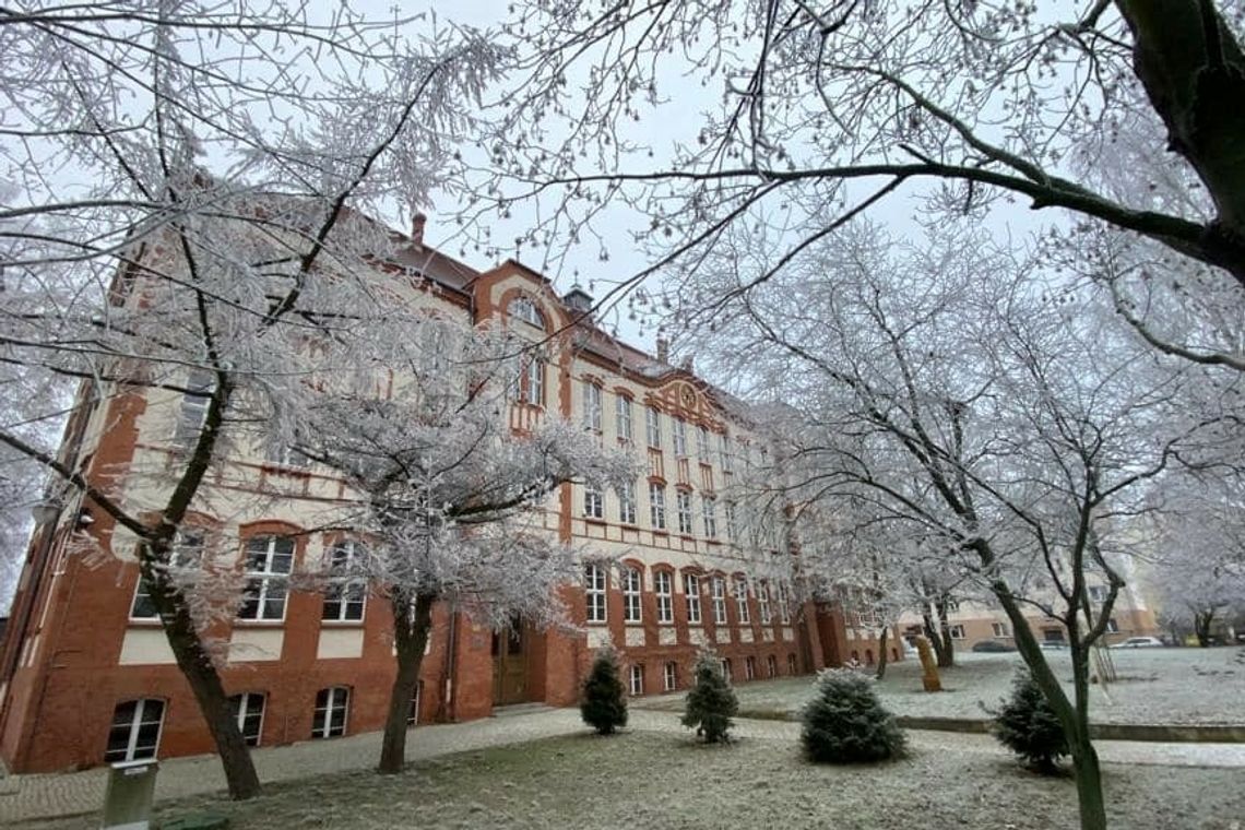 Najlepsze szkoły średnie w Gorzowie - II LO i Gastronomik