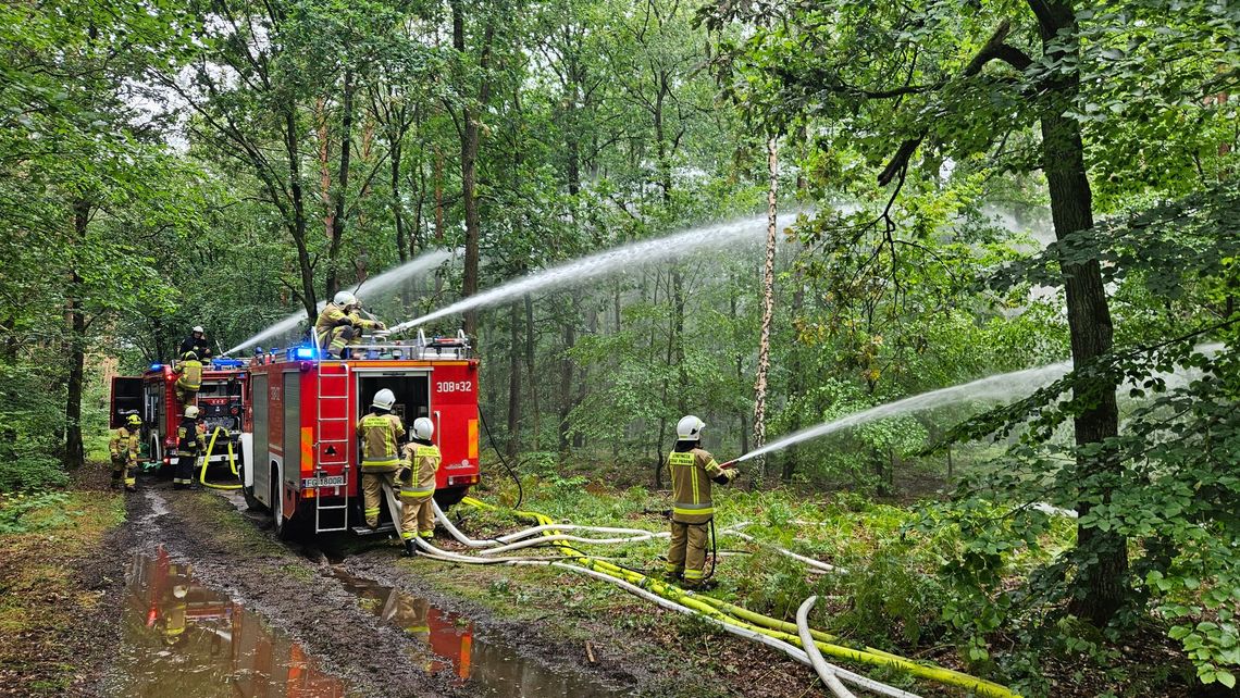 Najwyższy stopień zagrożenia pożarowego w lasach woj. lubuskiego