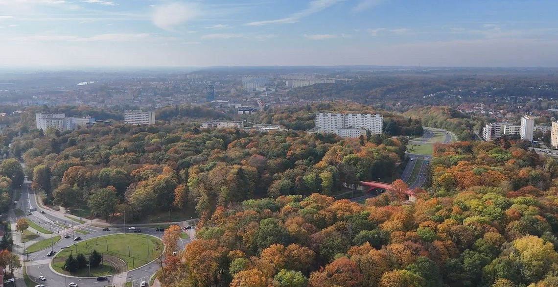 Niebezpieczne zabawy w gorzowskim parku