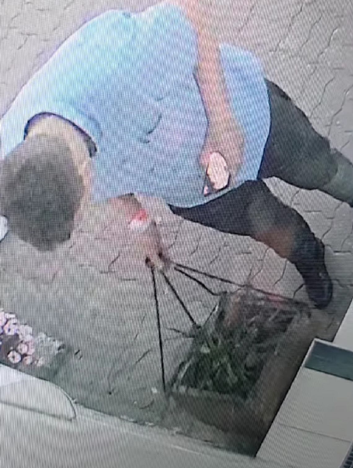 Niecodzienna sytuacja przed gorzowską kawiarnią. Reakcja z klasą