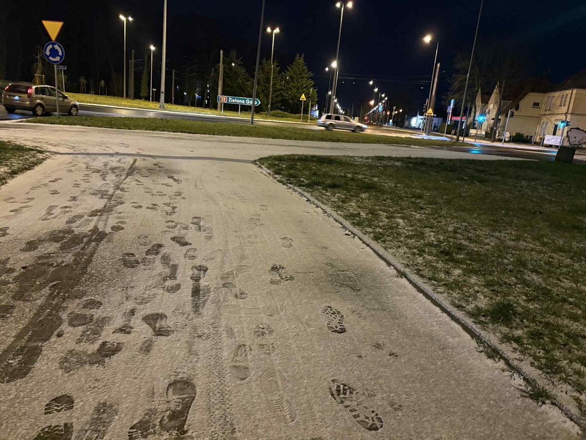 Nietypowi goście w gorzowskim parku – pojawili się wieczorem Nietypowi goście w gorzowskim parku – pojawili się wieczorem