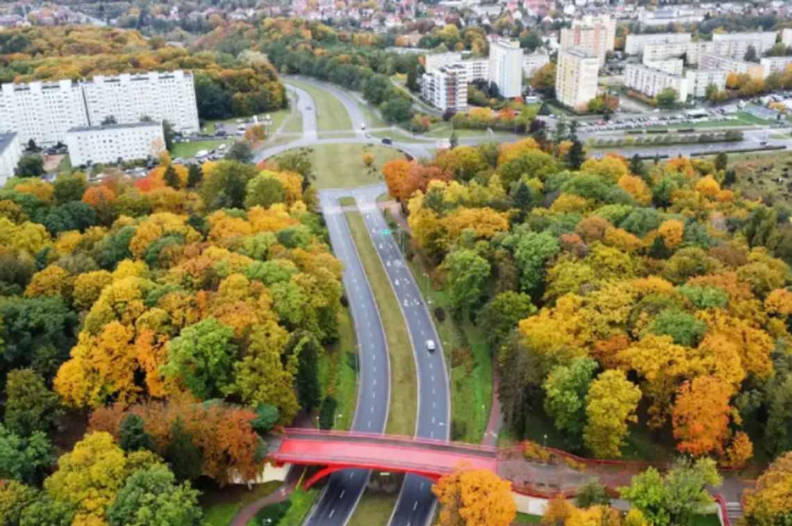 Nieodpowiedzialne zachowanie nastolatków w jednym z gorzowskich parków