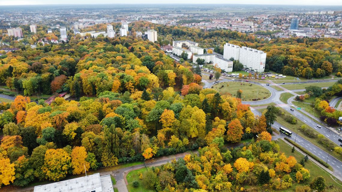 Niepokojące zdarzenie w gorzowskim parku