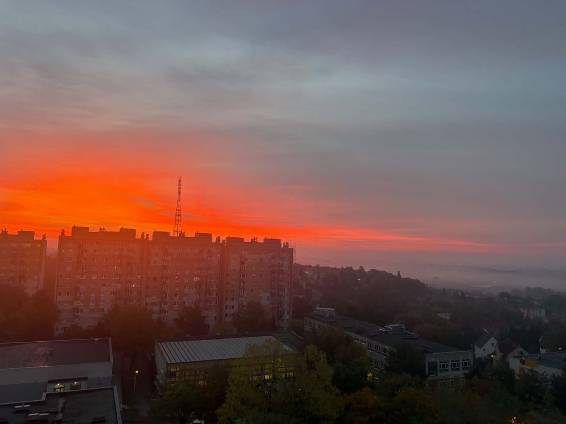 Niepokojące zdarzenie w jednym z bloków w Gorzowie. „To było ohydne!” Niepokojące zdarzenie w jednym z bloków w Gorzowie. „To było ohydne!”