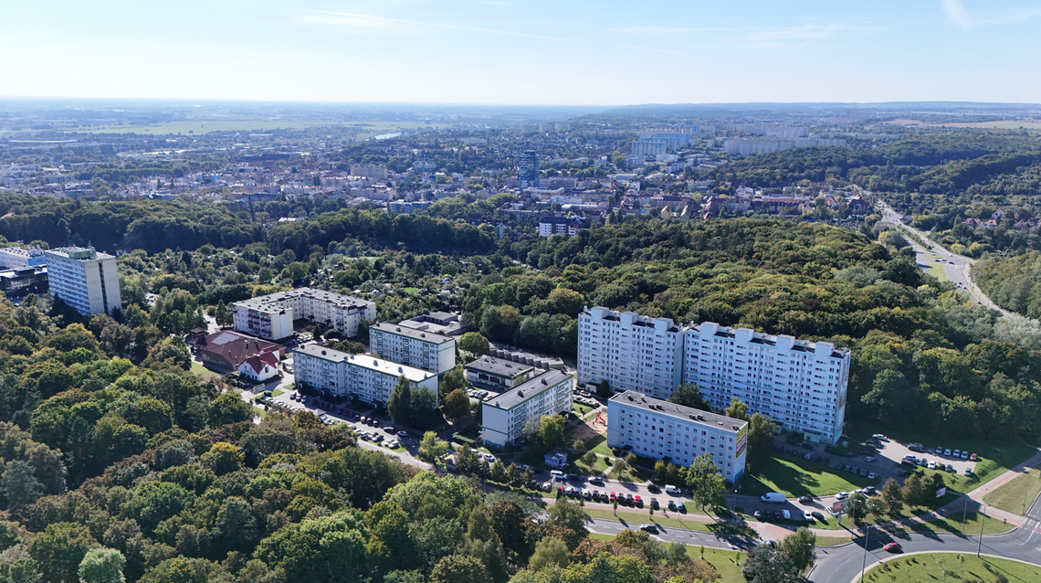 Niepokojące znalezisko w jednym z gorzowskich parków Niepokojące znalezisko w jednym z gorzowskich parków