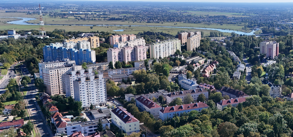 Niepokojący problem na jednym z gorzowskich osiedli. Mieszkańcy widzą coraz więcej śladów Niepokojący problem na jednym z gorzowskich osiedli. Mieszkańcy widzą coraz więcej śladów