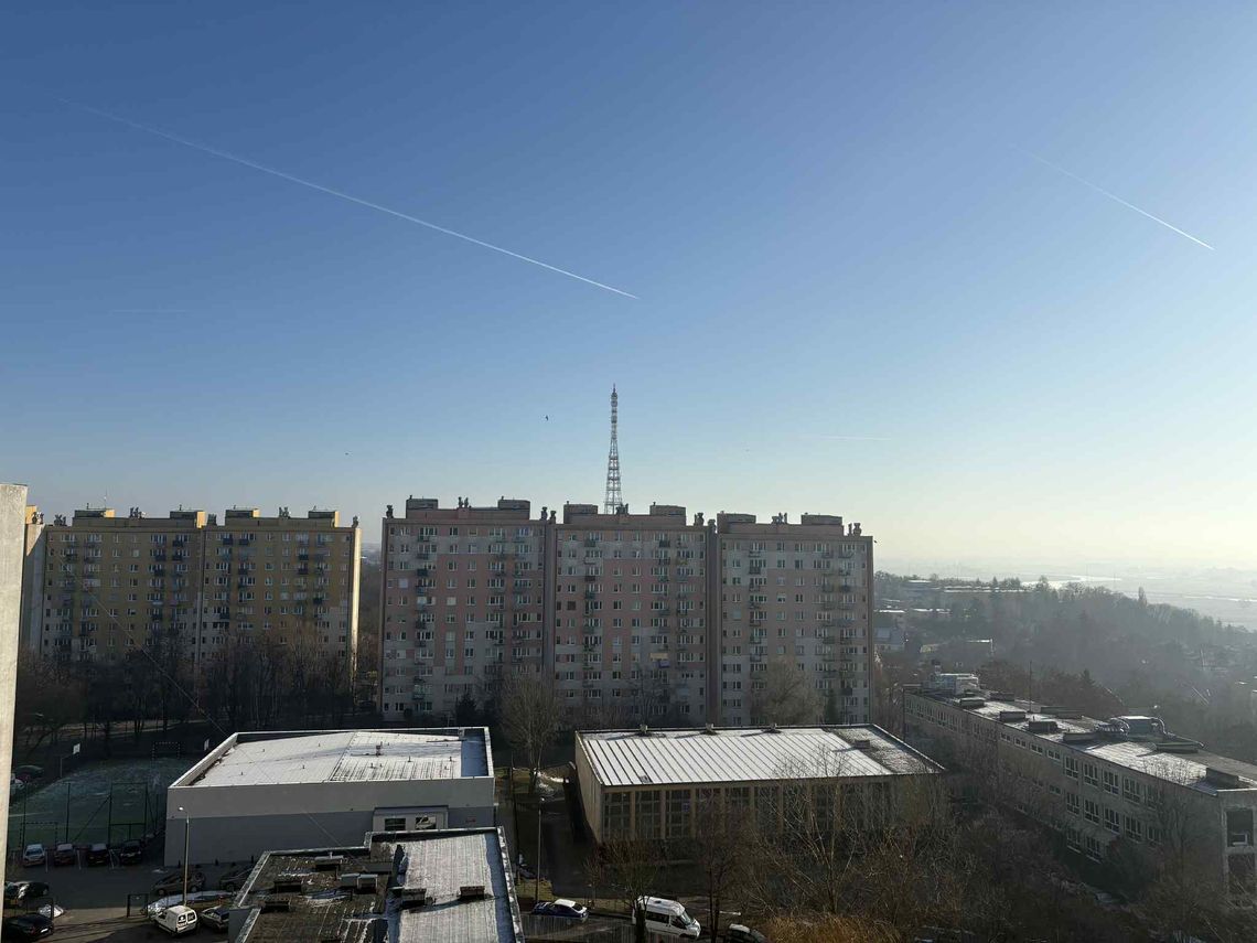 Nietypowy komunikat na końcu ulotki. Może uratować przed oszustwem