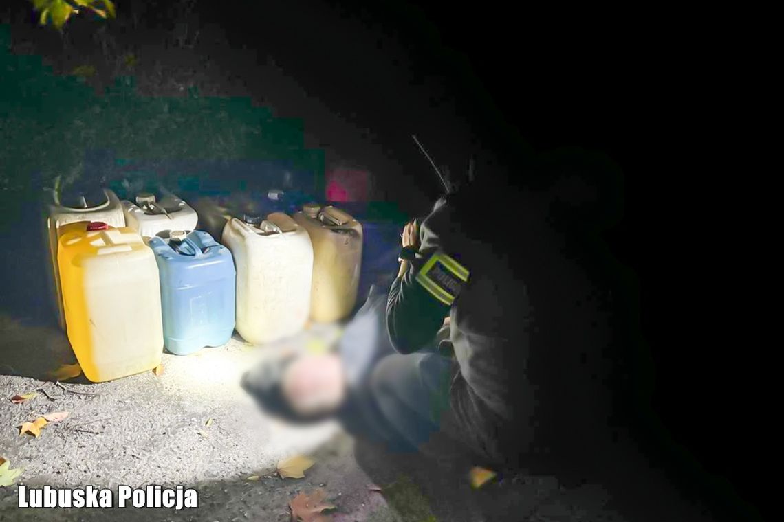 Nocna akcja policji w regionie zakończona zatrzymaniem