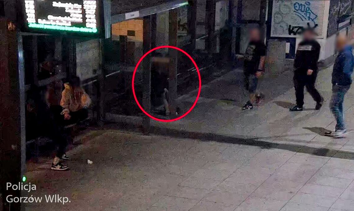 Nocna akcja służb w Gorzowie. Zaginione dziecko odnalezione dzięki monitoringowi