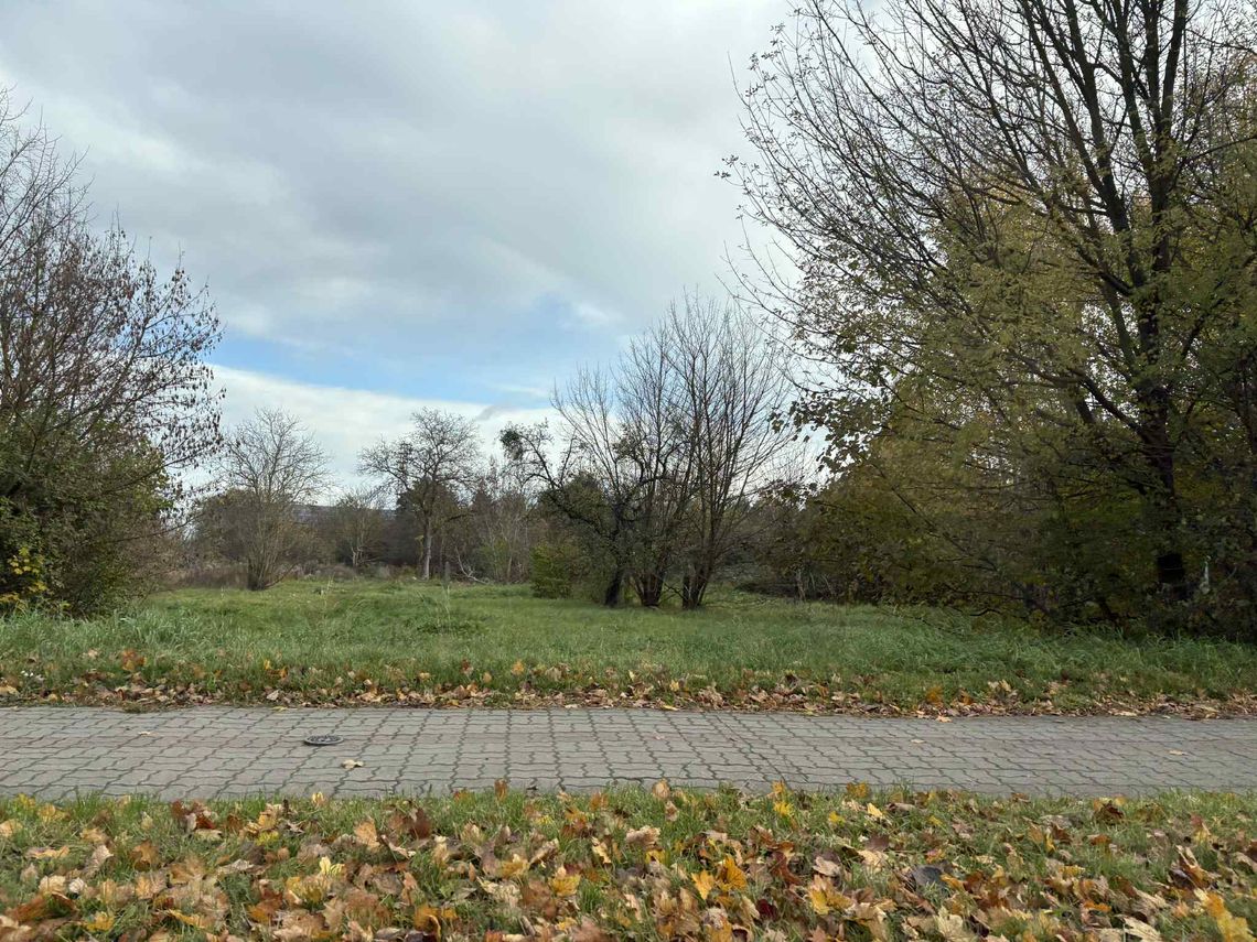 Nowa inwestycja handlowa planowana w Gorzowie. Wniosek już złożony Nowa inwestycja handlowa planowana w Gorzowie. Wniosek już złożony