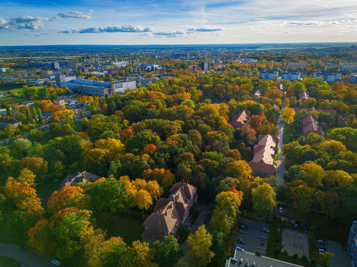 Nowa jednostka już zatwierdzona. Co zmieni się od 2026 roku w pomocy społecznej?
