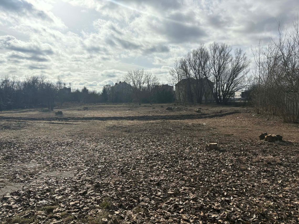 Nowy dyskont w Gorzowie coraz bliżej. Pierwsze prace już trwają Nowy dyskont w Gorzowie coraz bliżej. Pierwsze prace już trwają