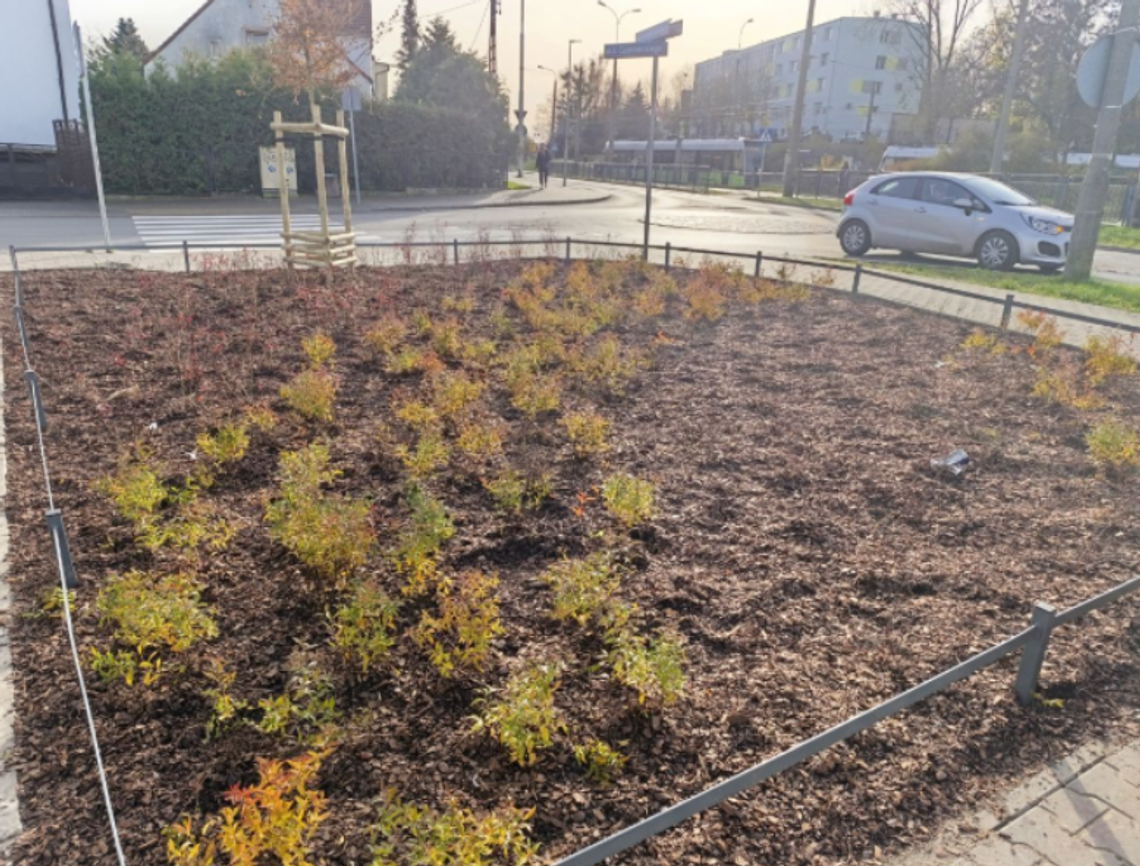 Nowy eko-skwer na Piaskach już gotowy. Zmieniono zdegradowany teren