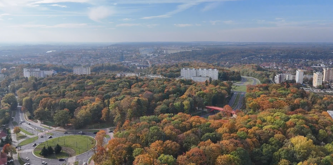 Oburzający incydent w gorzowskim parku