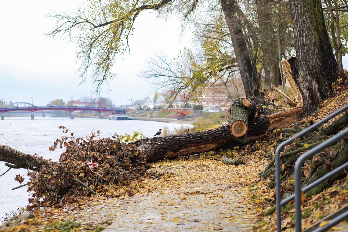 Ostrzeżenie dla Gorzowa. Sprawdź, czego lepiej dziś unikać Ostrzeżenie dla Gorzowa. Sprawdź, czego lepiej dziś unikać