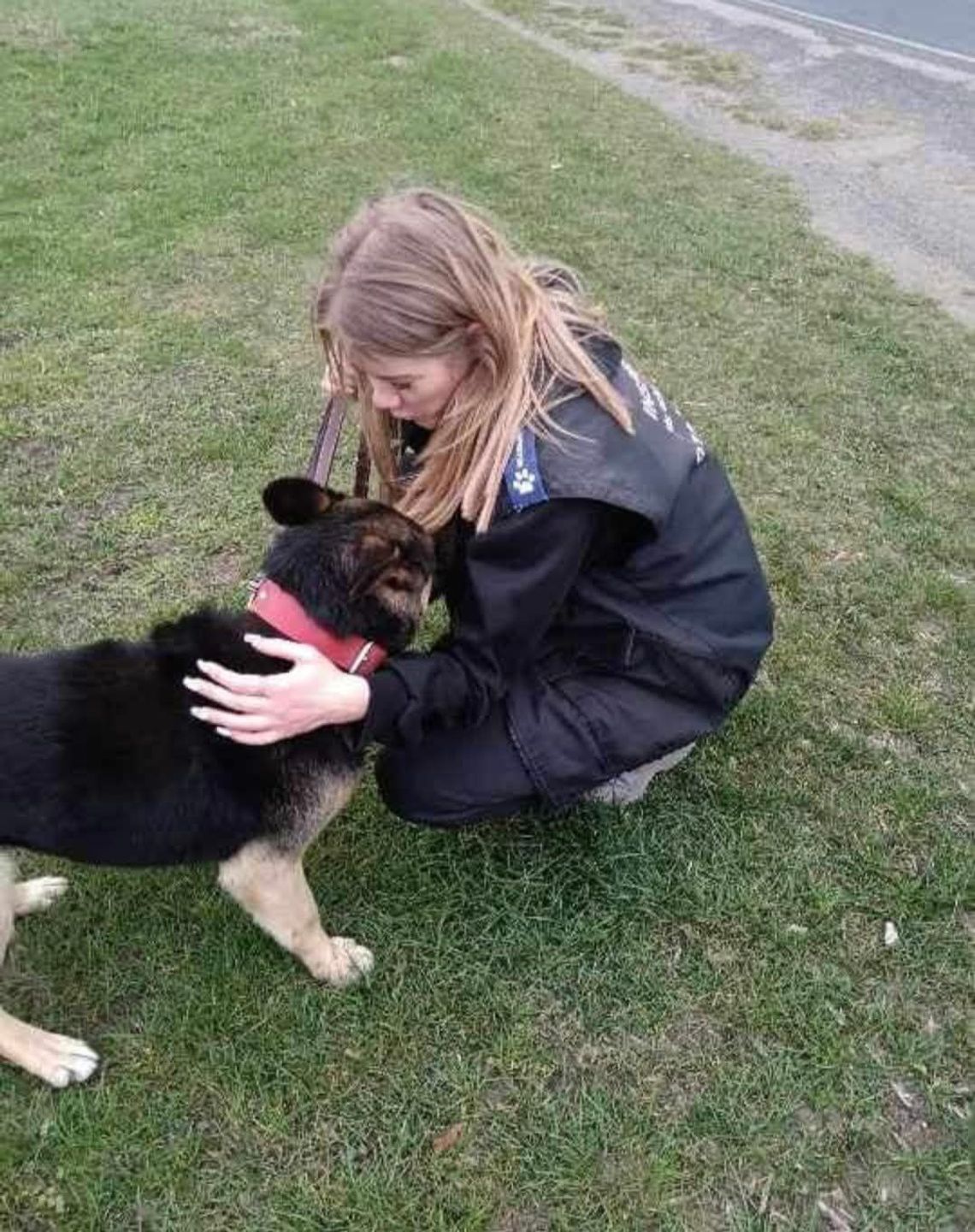 OTOZ Animals – Inspektorat Gorzów kończy działalność. Ważna zmiana od 1 marca 2026