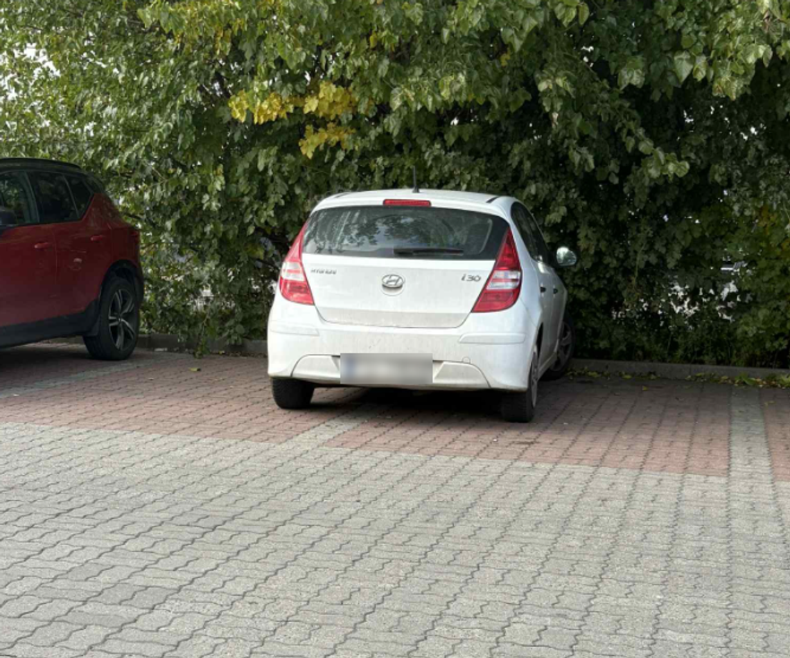 Parkowanie po gorzowsku. Dwa miejsca? Żaden problem