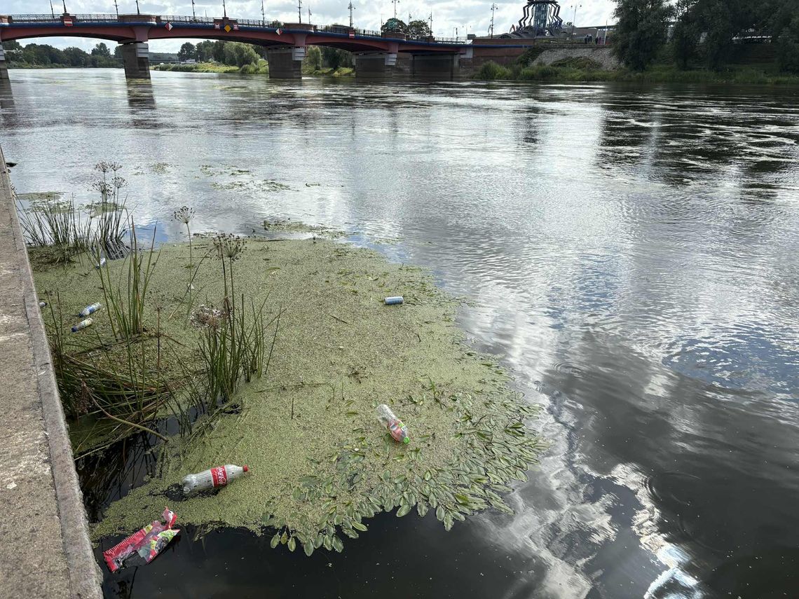 Plastikowe butelki zamiast w koszu – lądują w rzece