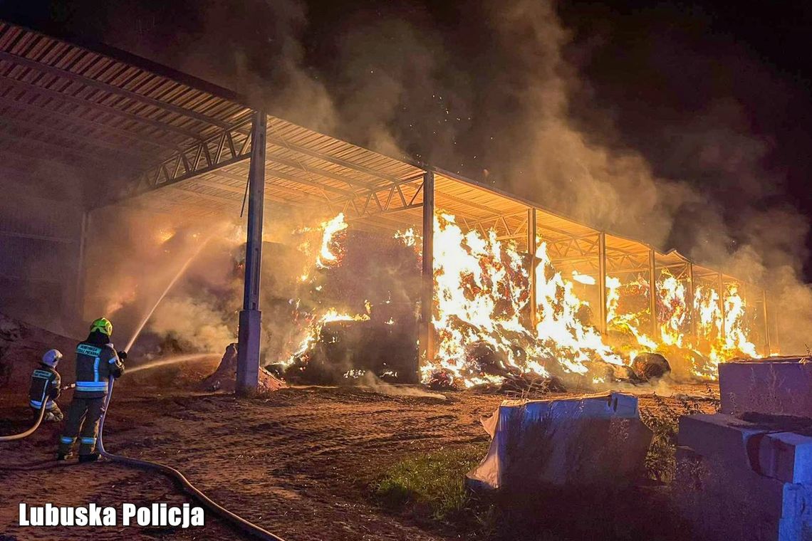 Podpalenie hali ze słomą. Policja zatrzymała podejrzanego po kilku godzinach Podpalenie hali ze słomą. Policja zatrzymała podejrzanego po kilku godzinach