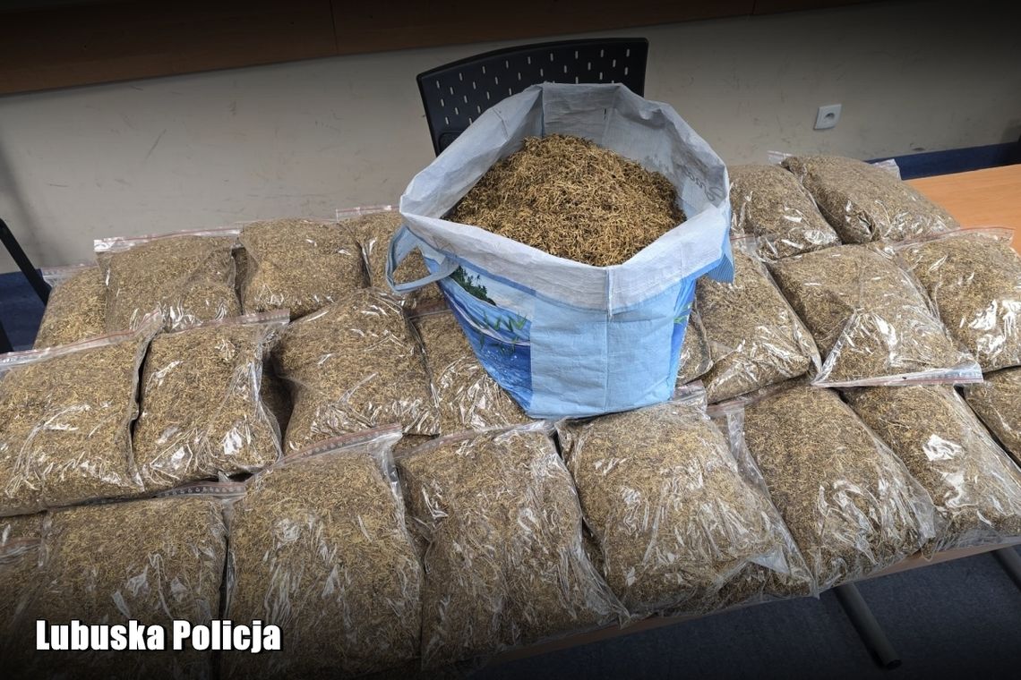Policjanci weszli do mieszkania 71-latki. W środku czekało na nich zaskoczenie Policjanci weszli do mieszkania 71-latki. W środku czekało na nich zaskoczenie