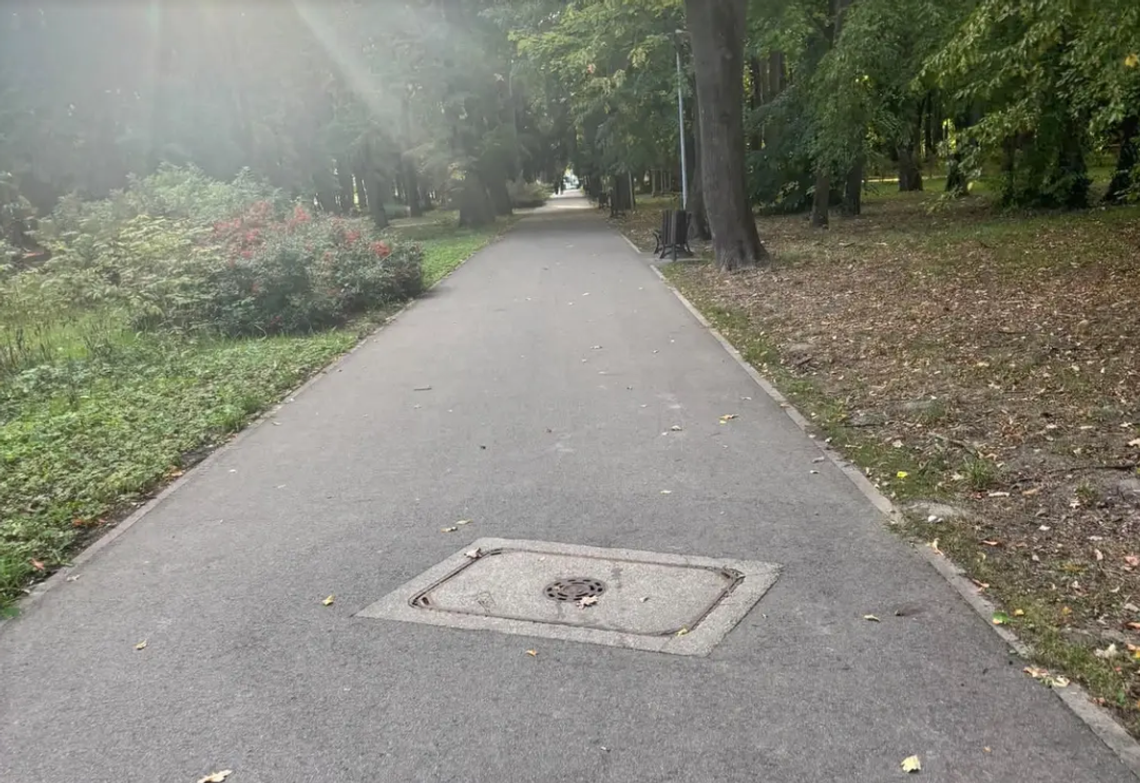 Poranek w Parku Kopernika przyniósł niespodziankę. Dwa nieproszone goście na ścieżce Poranek w Parku Kopernika przyniósł niespodziankę. Dwa nieproszone goście na ścieżce