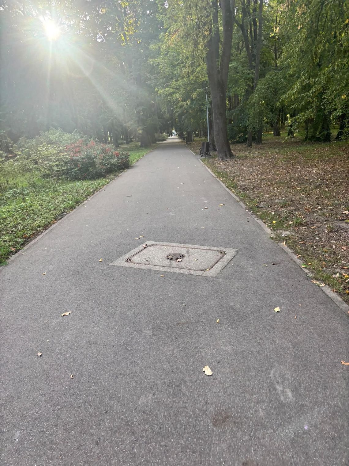 Poranny spacer w jednym z gorzowskich parków przyniósł mieszkance niespodziewane spotkanie Poranny spacer w jednym z gorzowskich parków przyniósł mieszkance niespodziewane spotkanie