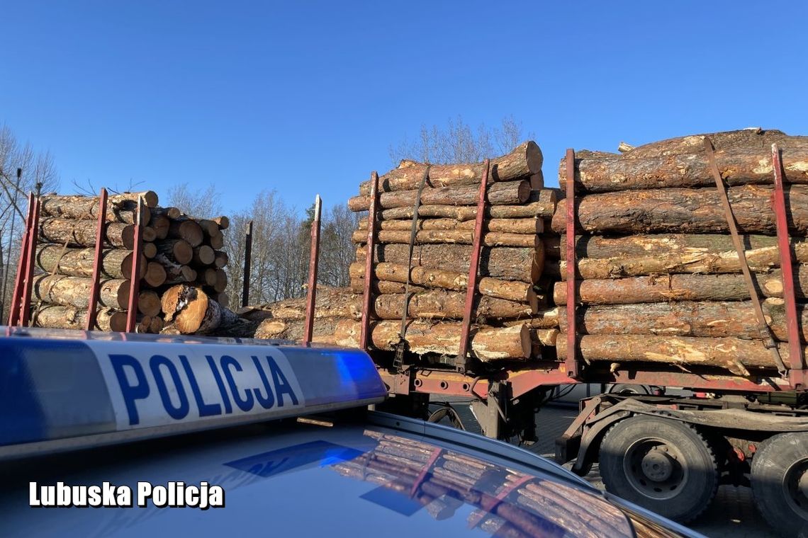 Potężne kłody drewna wypadły na jezdnię i chodnik