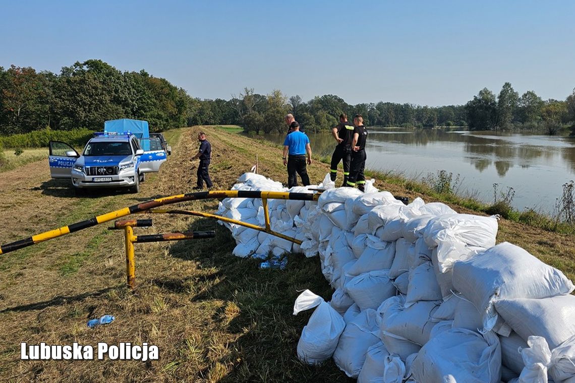 Powódź w Lubuskiem. Służby walczą z żywiołem i... z turystami. Ignorowanie zakazów wchodzenia na wały to poważne zagrożenie