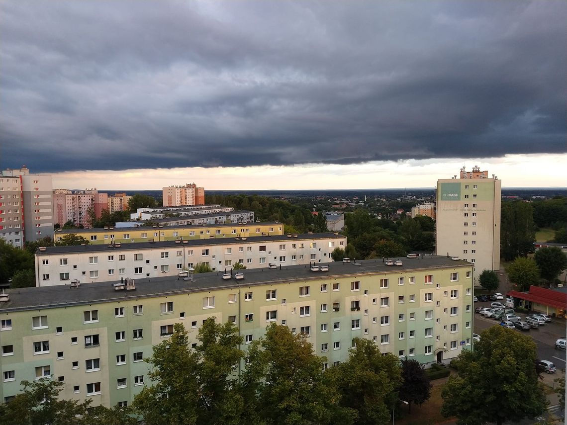 Poznaj złoty środek na dobre relacje z sąsiadami