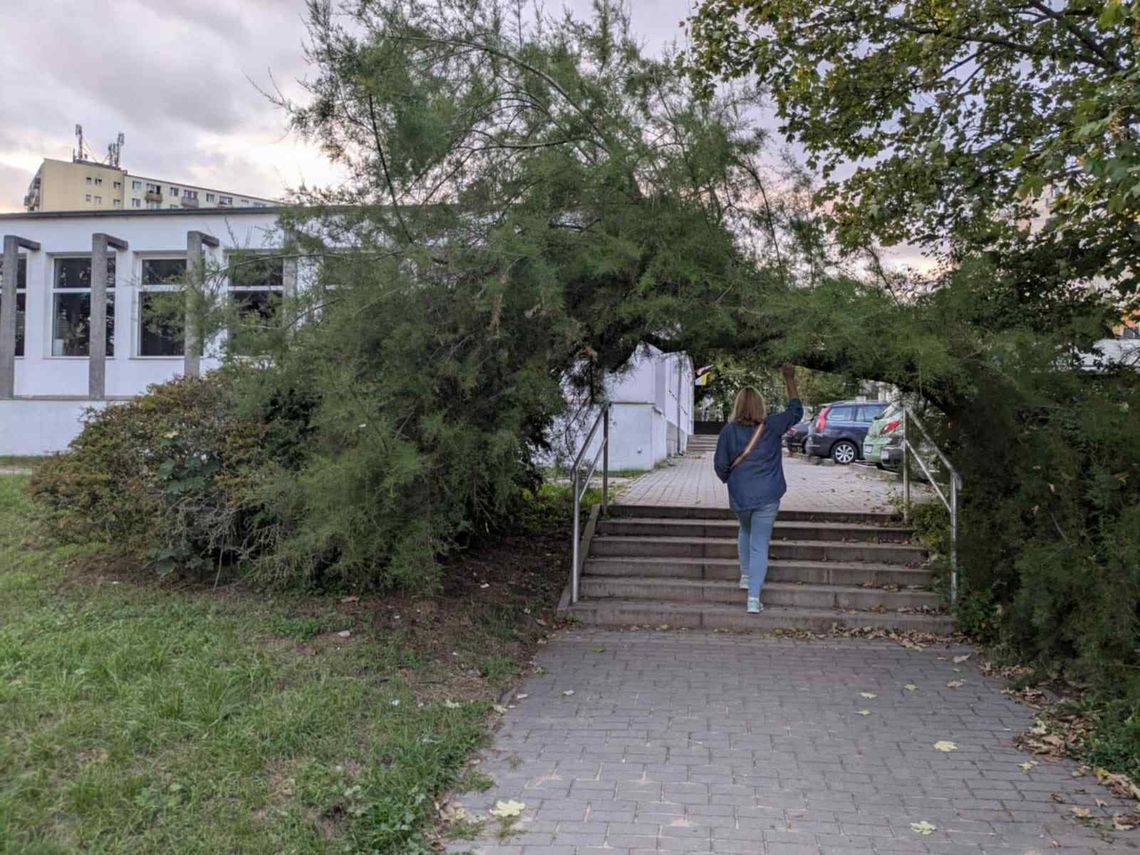 Problem na osiedlu Słonecznym. Mieszkańcy proszą o pilną interwencję