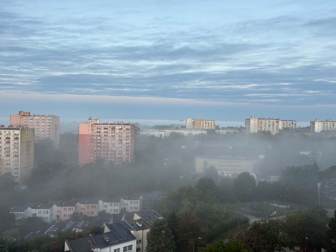 Problem wraca do gorzowskich bloków. Mieszkańcy mówią o coraz trudniejszych nocach