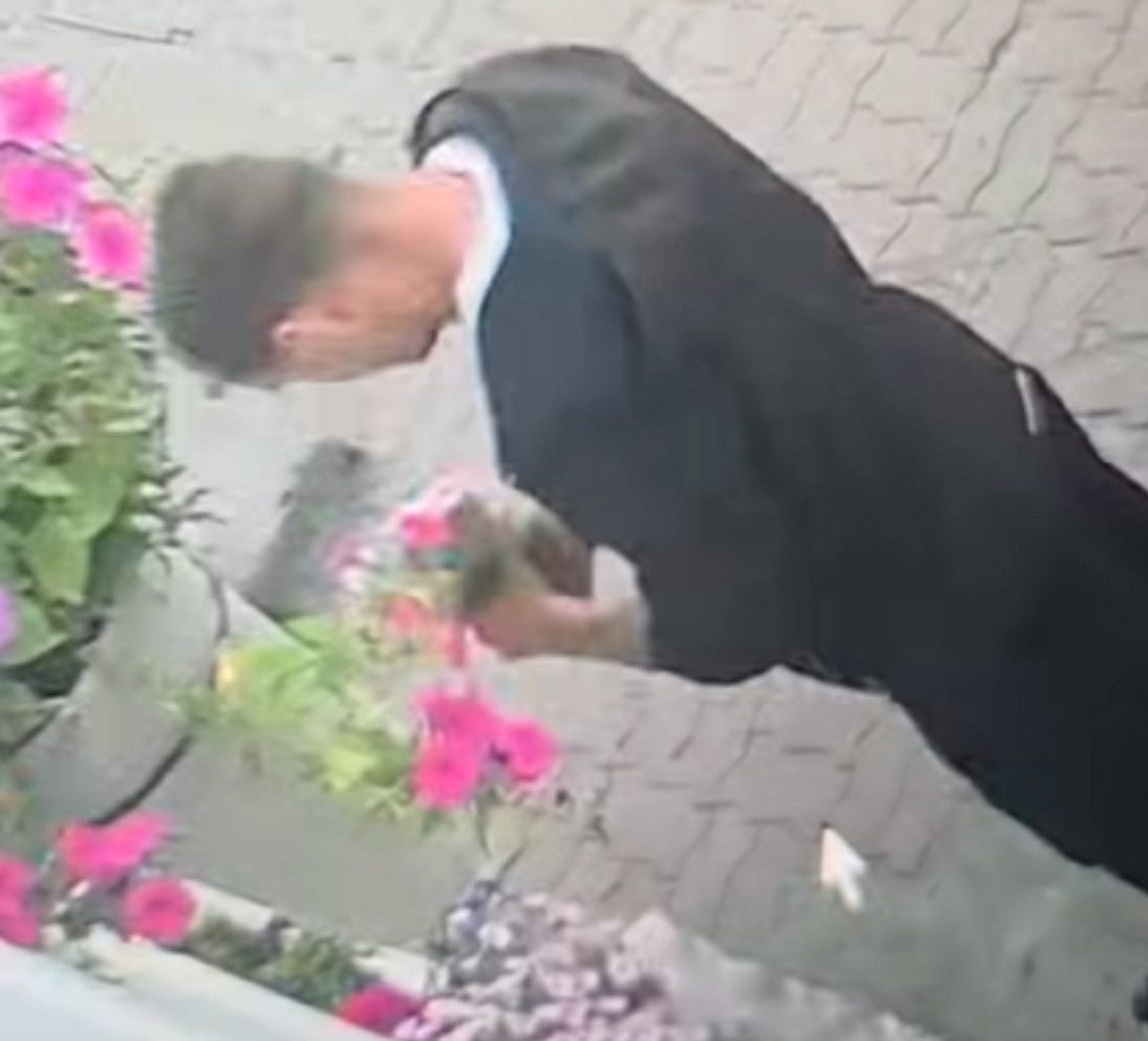 Rośliny nie są na wynos. Monitoring uchwycił miejskiego „szkodnika”