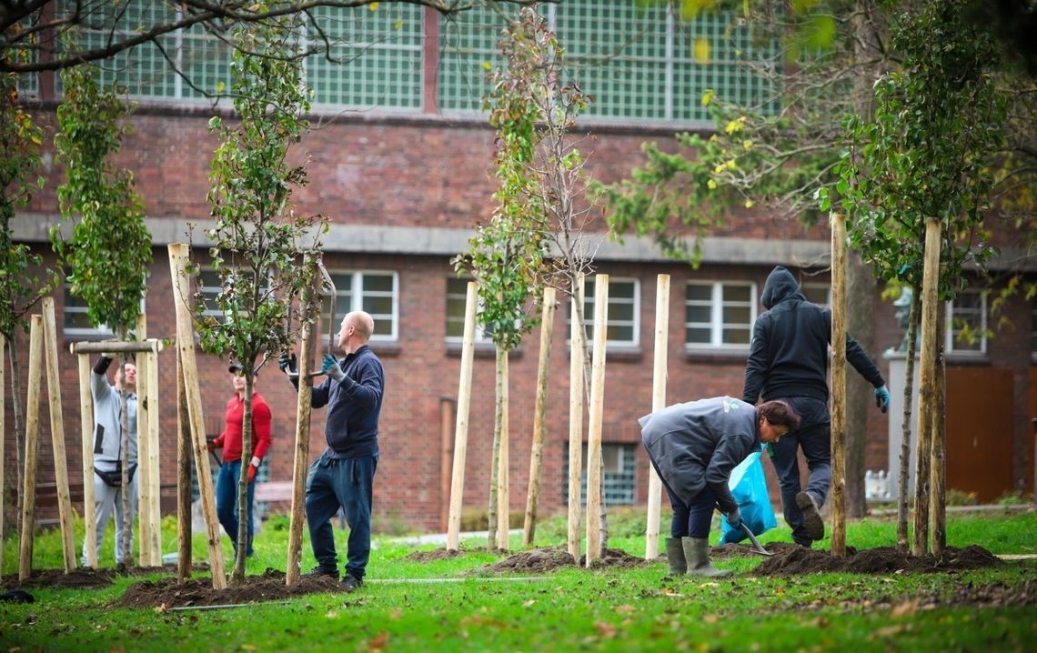 Rusza zielona akcja w mieście. To zmieni miejską przestrzeń