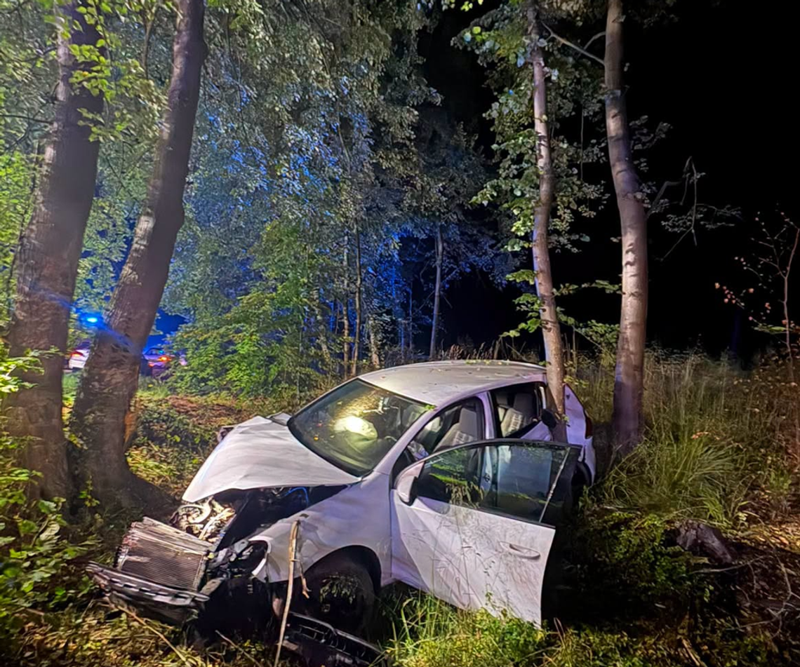 Samochód uderzył w drzewo. W środku były cztery osoby Samochód uderzył w drzewo. W środku były cztery osoby