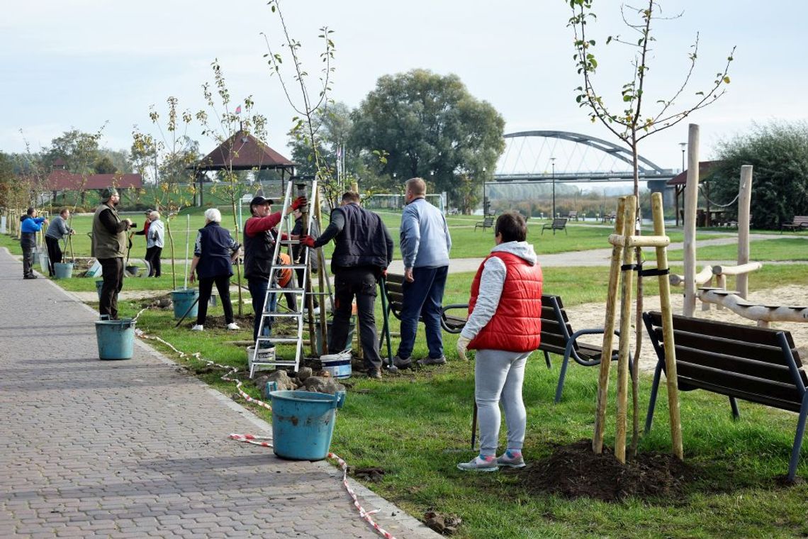 Santocka promenada pięknieje