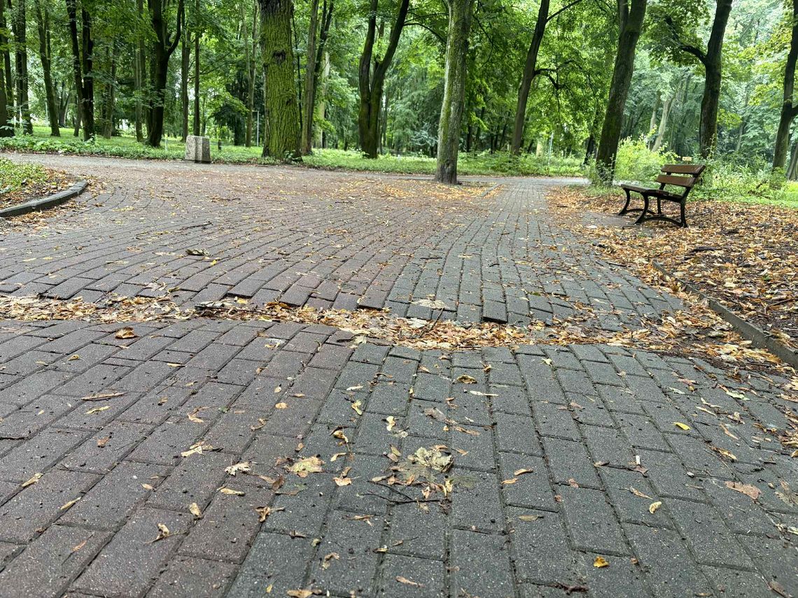 Spacer jak pole minowe. Nikt tego nie zabezpieczył