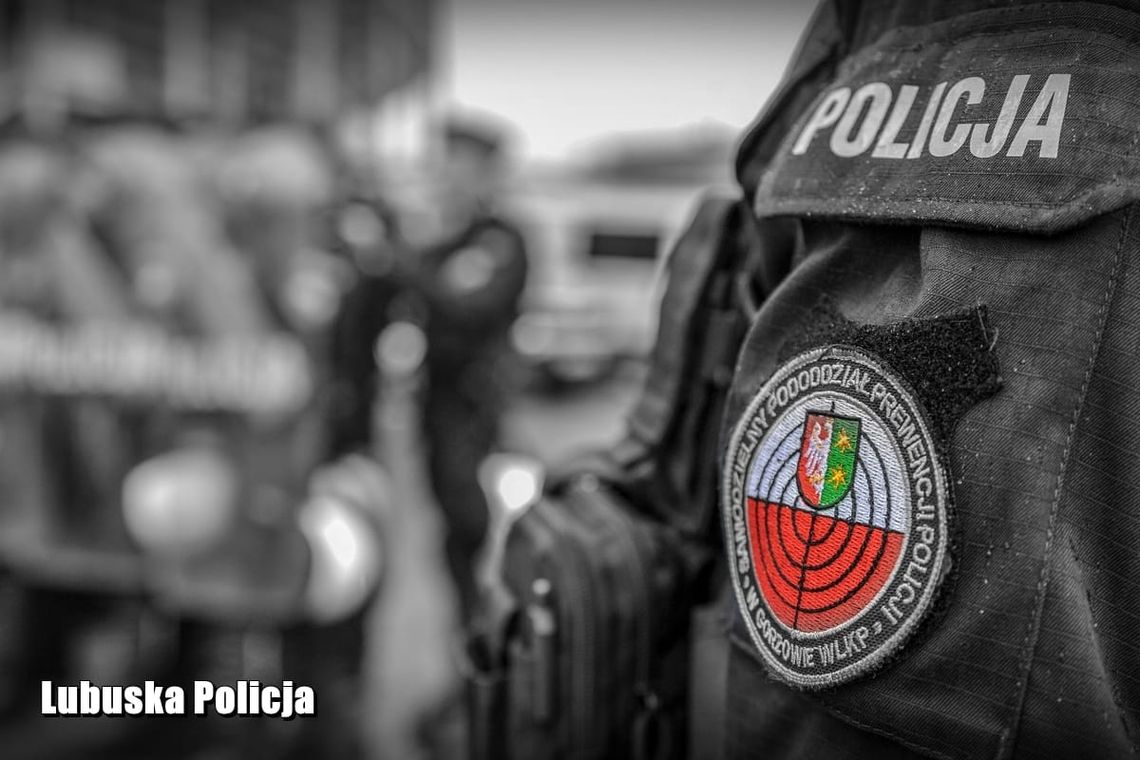 Tajemnicze zwłoki koło Moguncji. Niemiecka policja prosi Polaków o pomoc
