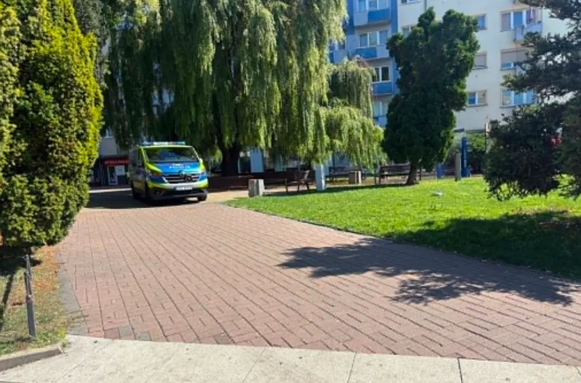 „Tak nie powinno wyglądać centrum miasta”. W Gorzowie chcą konkretnych działań „Tak nie powinno wyglądać centrum miasta”. W Gorzowie chcą konkretnych działań